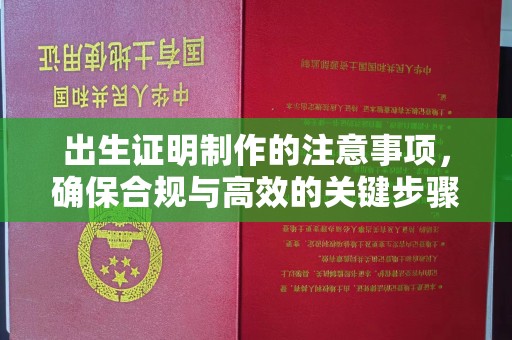 中国澳门出生证明制作的注意事项，确保合规与高效的关键步骤