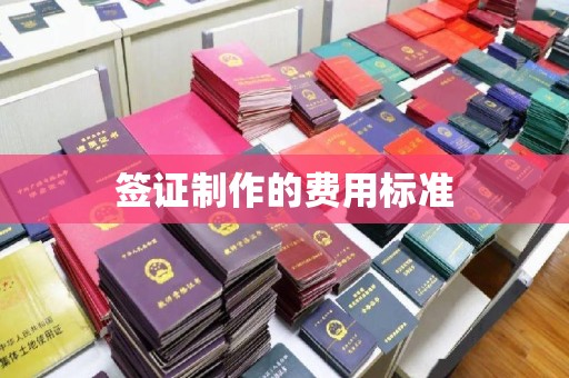 中国澳门签证制作的费用标准