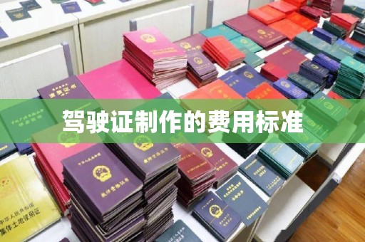 中国澳门驾驶证制作的费用标准